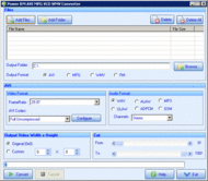 Power RM AVI MPG VCD WMV Converter screenshot